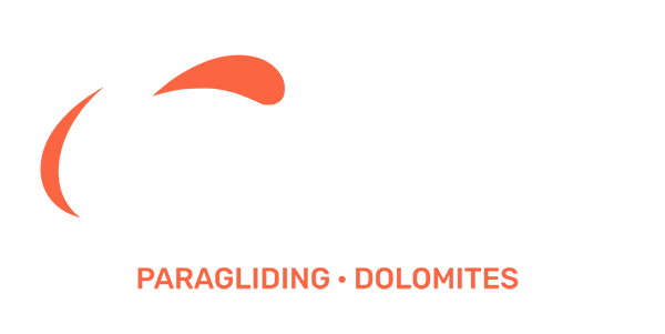 Dolofly Logo2